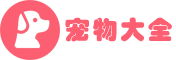 爱上宠物网